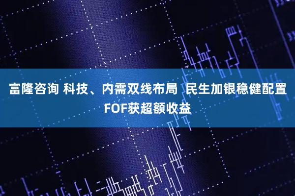 富隆咨询 科技、内需双线布局  民生加银稳健配置FOF获超额收益