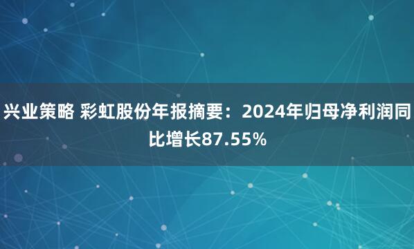 兴业策略 彩虹股份年报摘要：2024年归母净利润同比增长87.55%