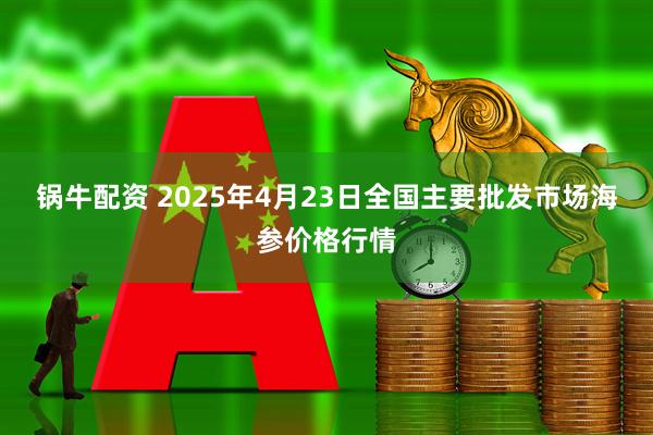 锅牛配资 2025年4月23日全国主要批发市场海参价格行情
