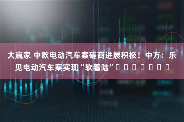 大赢家 中欧电动汽车案磋商进展积极！中方：乐见电动汽车案实现“软着陆”​​​​​​​
