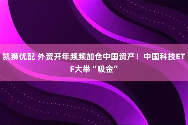 凯狮优配 外资开年频频加仓中国资产！中国科技ETF大举“吸金”