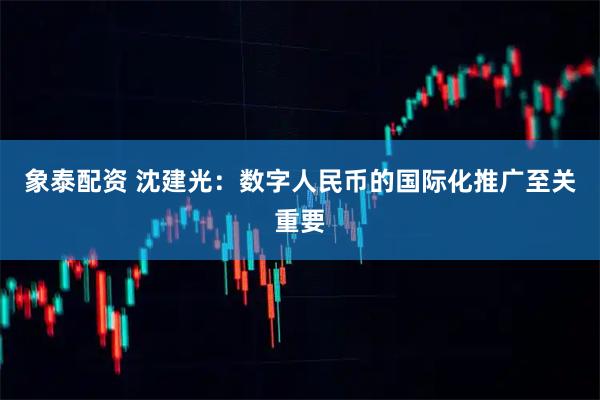 象泰配资 沈建光：数字人民币的国际化推广至关重要