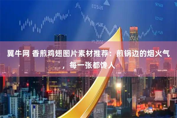 翼牛网 香煎鸡翅图片素材推荐：煎锅边的烟火气，每一张都馋人