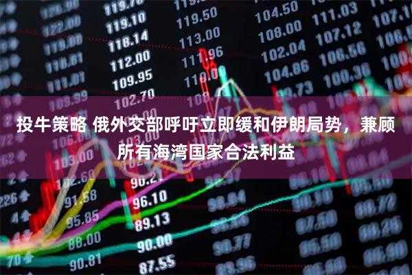 投牛策略 俄外交部呼吁立即缓和伊朗局势，兼顾所有海湾国家合法利益