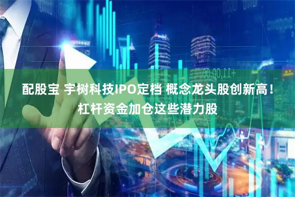 配股宝 宇树科技IPO定档 概念龙头股创新高！杠杆资金加仓这些潜力股